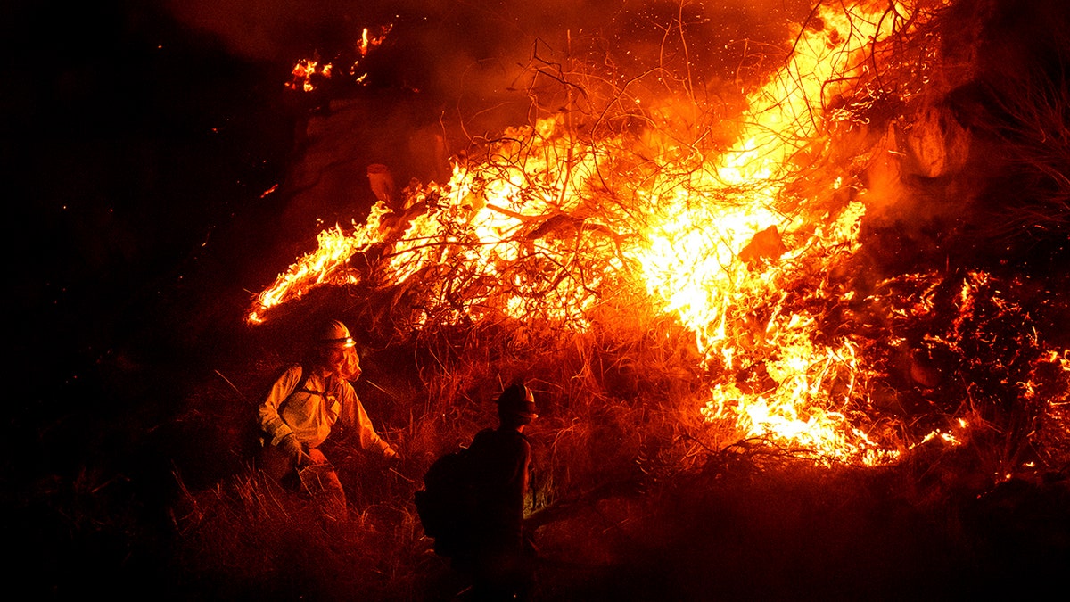 Lilac Fire in California