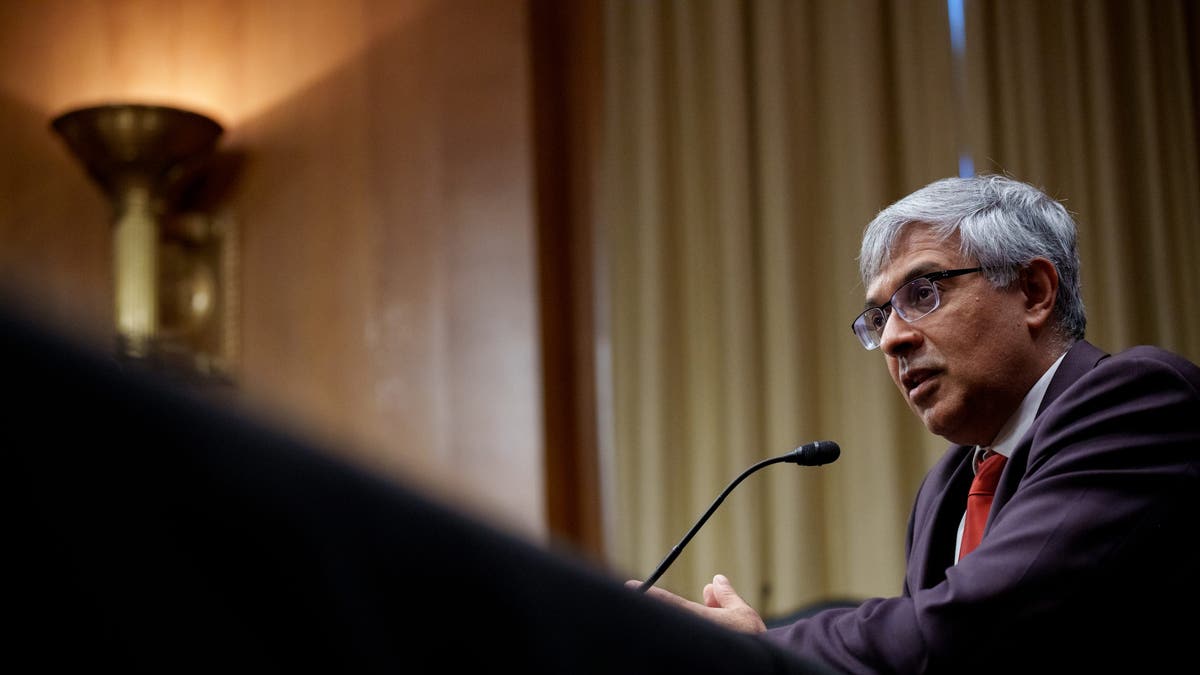 Jayanta Bhattacharya at confirmation hearing