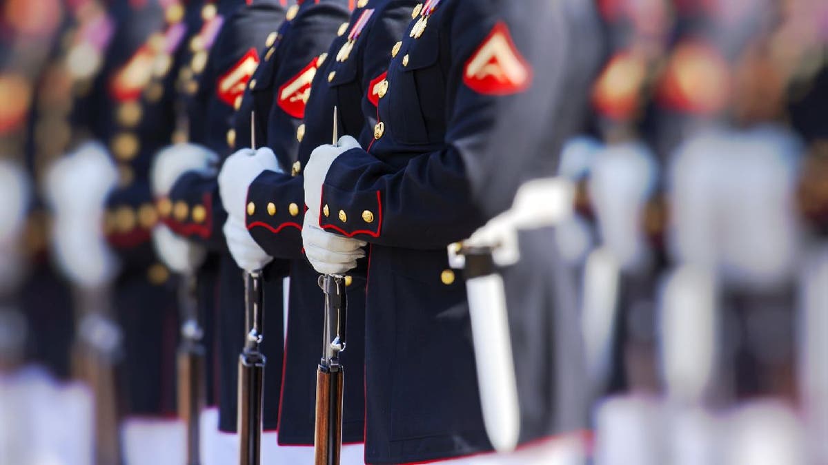 Marines in formation