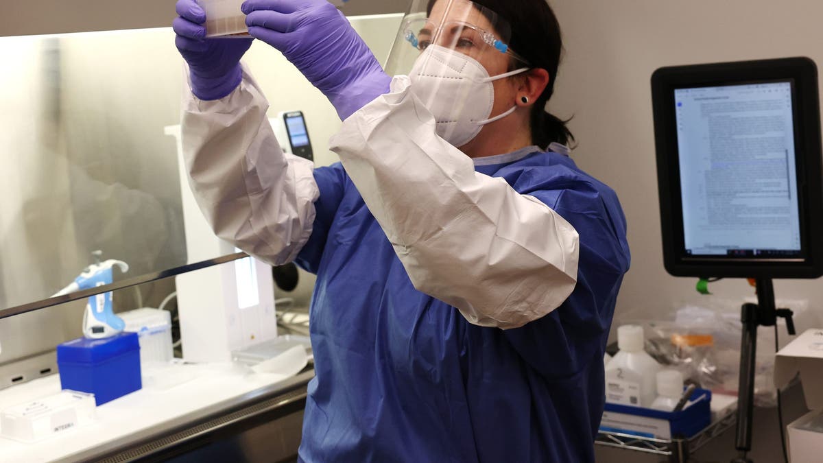 A medical technologist in the molecular diagnostic lab extracts DNA from milk samples for testing at the Animal Health Diagnostic Center at Cornell University on Dec. 10, 2024 in Ithaca, New York.