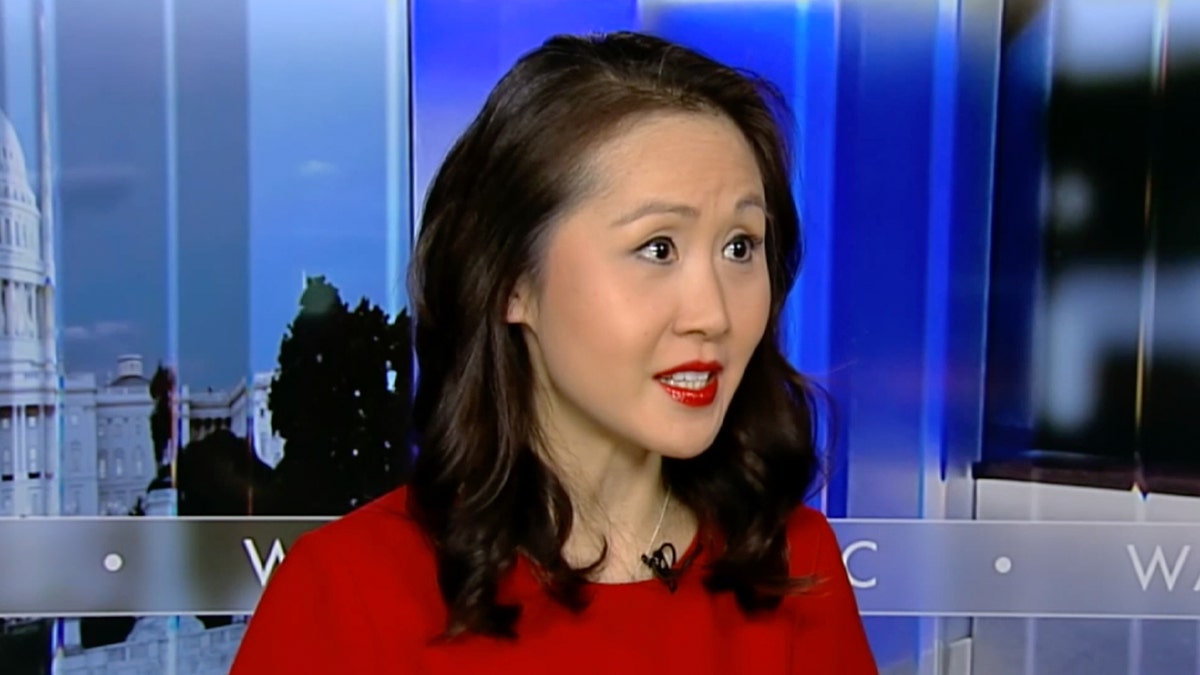 Lindy Li spoke with Fox News Digital about the state of the Democratic Party.