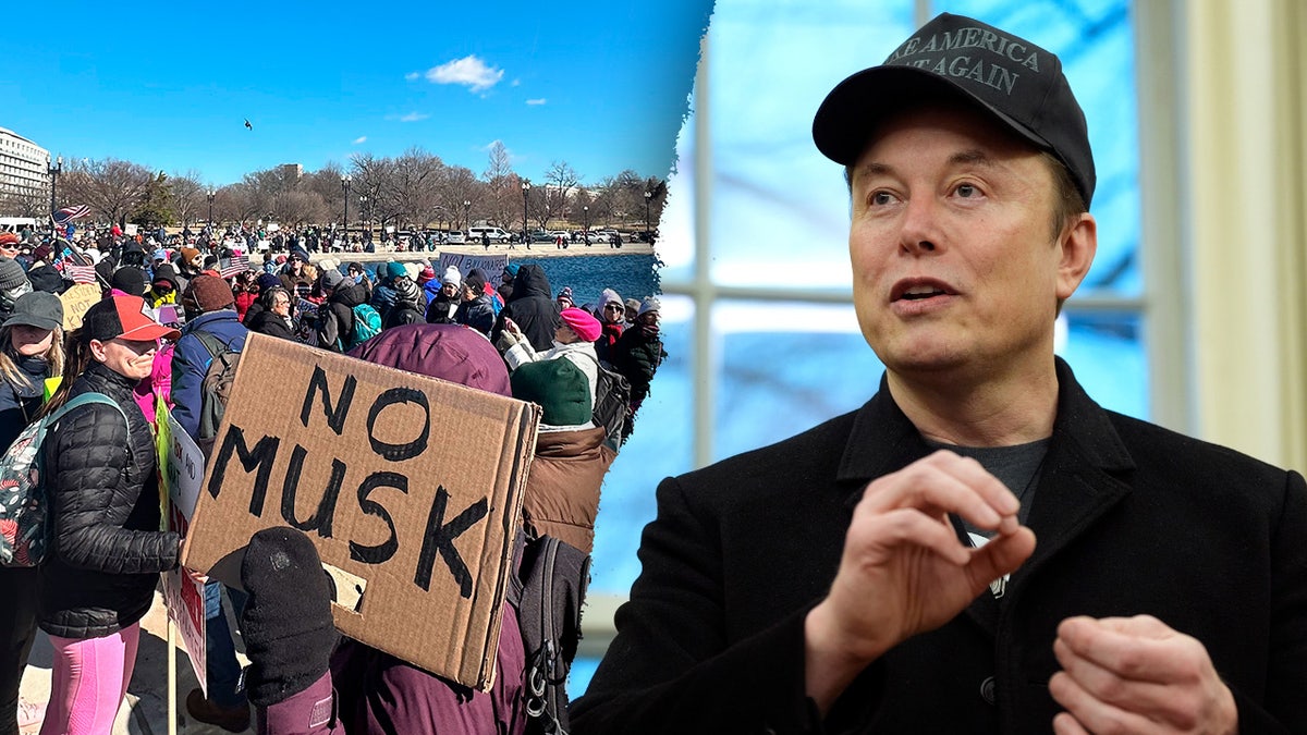 Elon Musk, protests