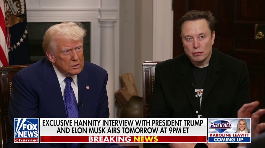 Elon Musk on Trump Derangement Syndrome: They've become 'completely irrational'