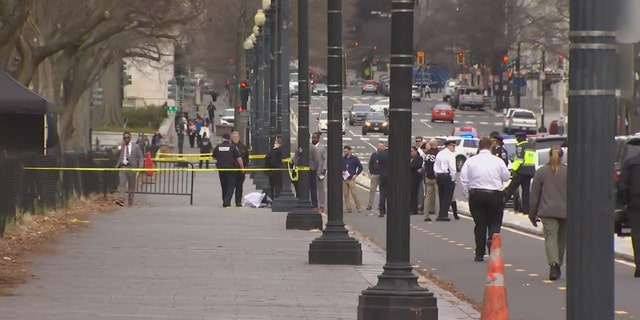 Authorities believe a man was beaten to death with a metal pipe early Wednesday morning on the Ellipse in downtown Washington, D.C.