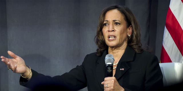 US Vice President Kamala Harris speaks during the Democratic National Committee Women's Leadership Forum.