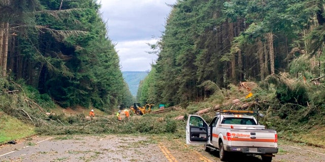 In this photo provided by Caltrans District 1, crews work at removing multiple fallen trees blocking U.S. Highway 101 in Humboldt County near Trinidad, Calif., Wednesday, Jan. 4, 2023.