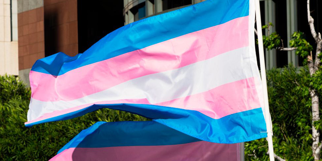 Transgender flag unfurled on pole.