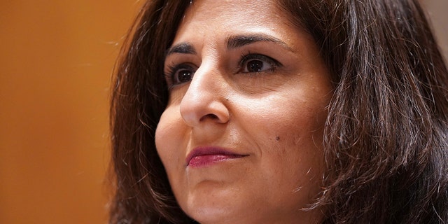 Neera Tanden testifies before the Senate Homeland Security and Government Affairs committee on her nomination to become the Director of the Office of Management and Budget (OMB), during a hearing Tuesday, Feb. 9, 2021, on Capitol Hill in Washington.