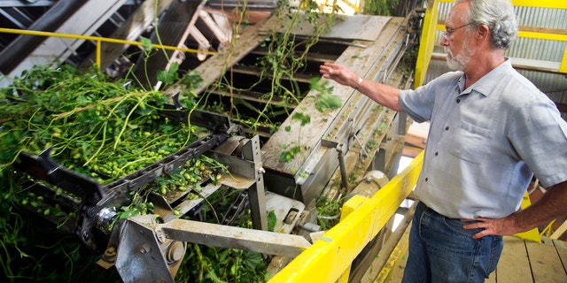 Newhouse, a farmer and former director of the Washington State Department of Agriculture, gives a tour of his farm in Sunnyside, Washington, in 2015.