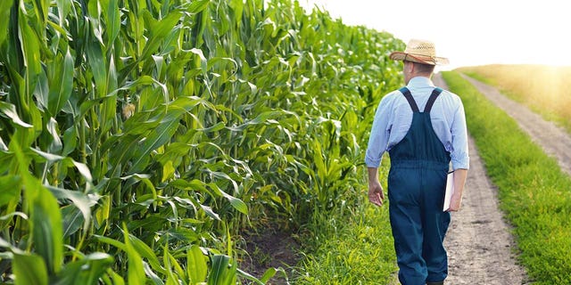 Farmers have warned that the new EPA rule would damage their businesses and threaten U.S. food security.