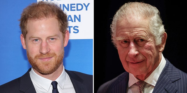 Prince Harry discussed the running rumor that he was not his father's son.