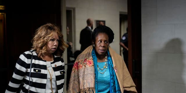 Texas Democrat Rep. Sheila Jackson Lee introduced a bill to combat "White supremacy" by criminalizing hate speech.