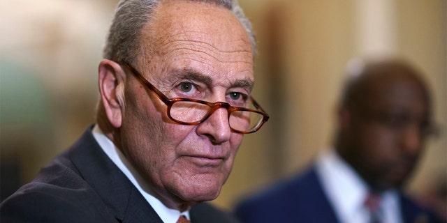 Senate Majority Leader Chuck Schumer on Thursday said he would sic the FTC on a company marking a youth rifle to kids. (AP Photo/J. Scott Applewhite)