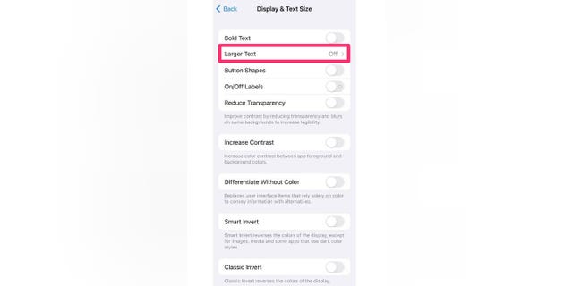 Screenshot showing how to select the "Large Text" option.