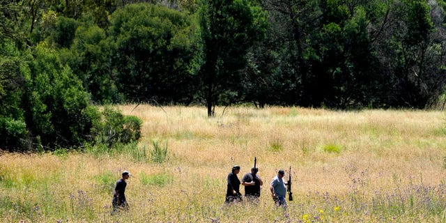 Local community police group search for a tiger, that escaped from its enclosure, in Walkerville, south of Johannesburg, South Africa, on Jan. 16, 2023.