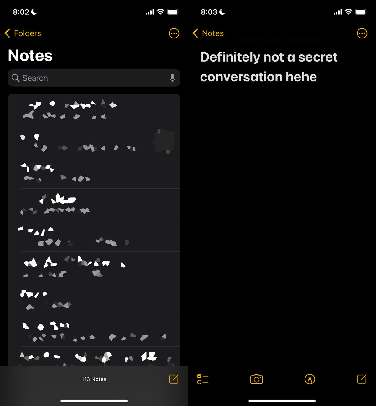 Notes app on iPhone