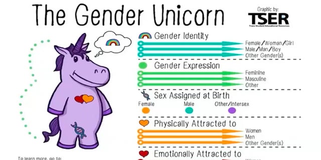 Danita McCray introduces "age-appropriate" gender unicorn and discusses "pertinent" terms for the early childhood age group. 