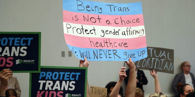 People hold signs during a joint board meeting of the Florida Board of Medicine and the Florida Board of Osteopathic Medicine gather to establish new guidelines limiting gender-affirming care in Florida, on Nov. 4, 2022. 