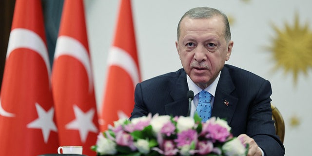 Turkish President Tayyip Erdogan