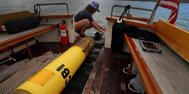 An intern with the Atlantic White Shark Conservancy on a boat in Chatham, Massachusetts