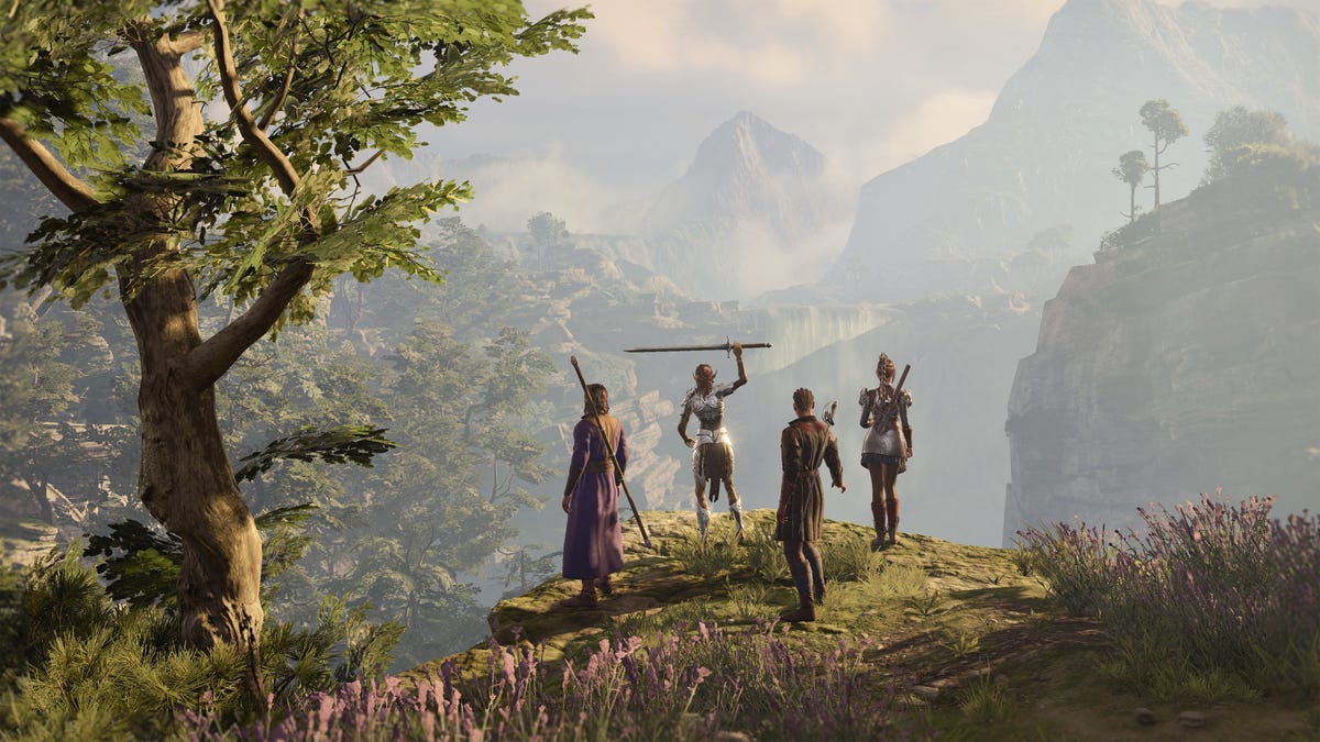 a group in baldurs gate 3 overlooks a valley from a cliff