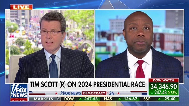 My candidacy scares the radical left: Sen. Tim Scott