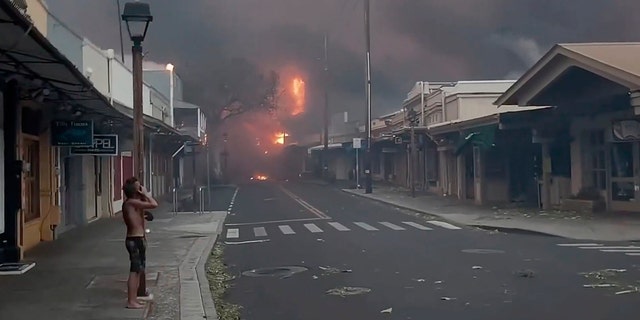 Maui wildfires