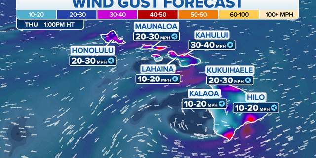 Wind gust forecast