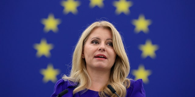 President of Slovakia Zuzana Caputova