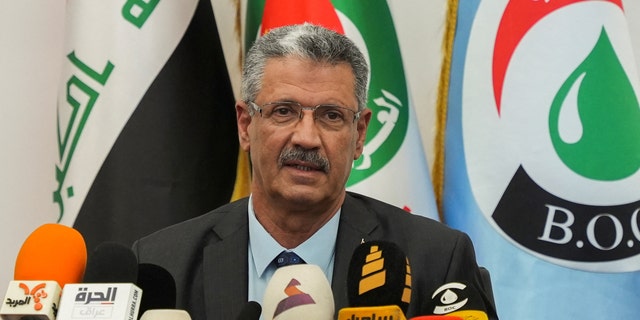 Hayan Abdel-Ghani 