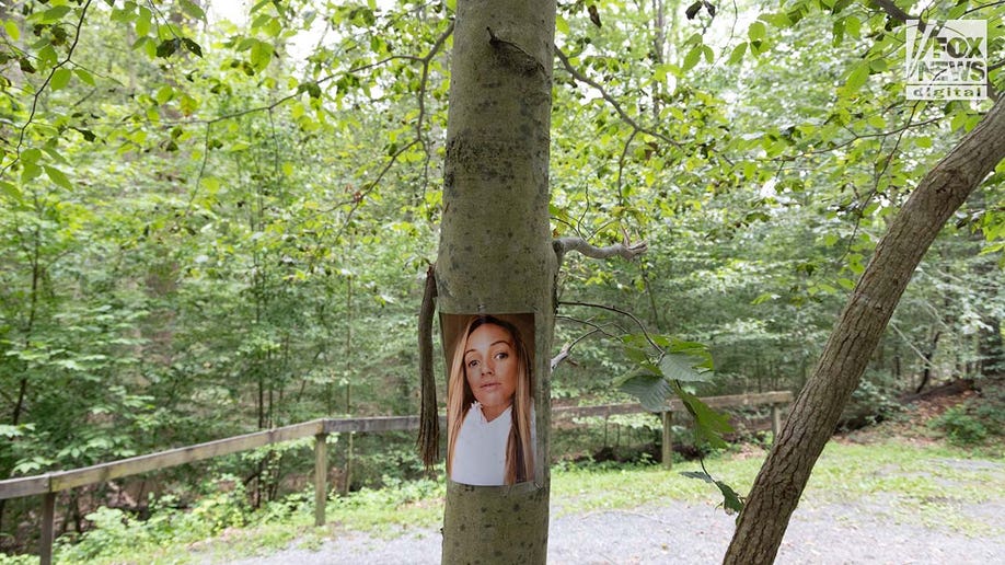 A photo of Rachel Morin is posted on a tree along a hiking route