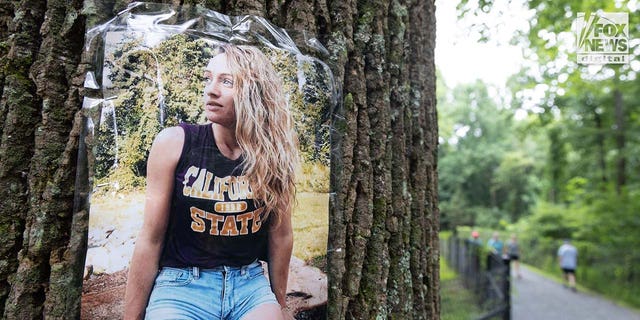 A photo of Rachel Morin is posted on a tree along a hiking route