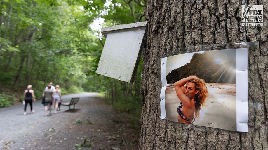 A photo of Rachel Morin is posted on a tree along a hiking route