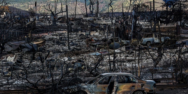 Charred remains in Maui