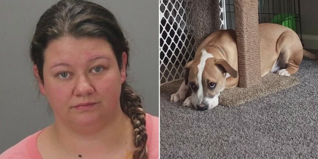 Michigan woman sex act on dog