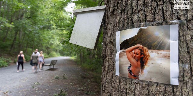 A photo of Rachel Morin is posted on a tree along a hiking route