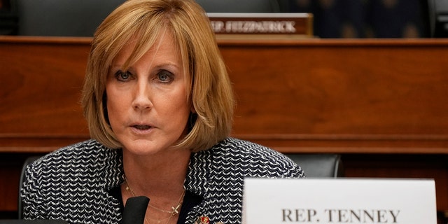 Tenney in Congress