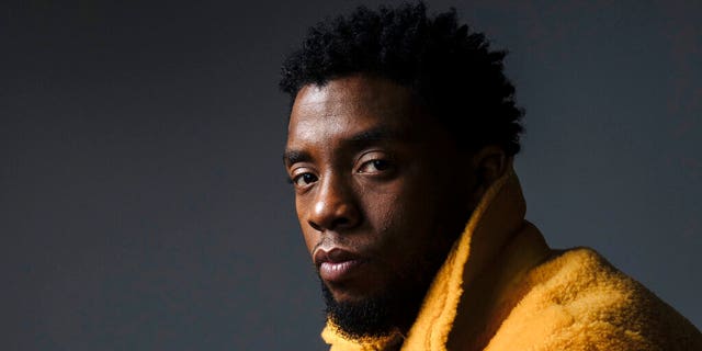 Chadwick Boseman file photo