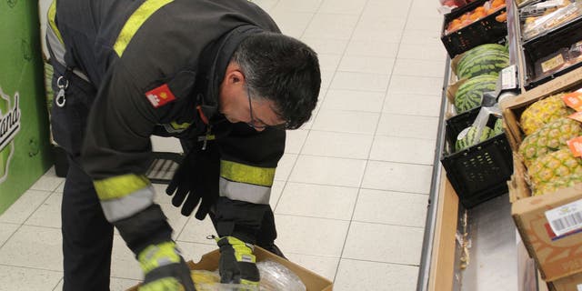 Austrian fire brigade member searches box for spider