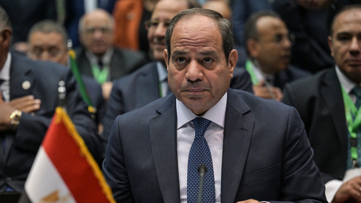 Egyptian President Abdel Fattah al-Sisi