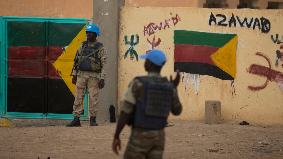 Mali peacekeepers