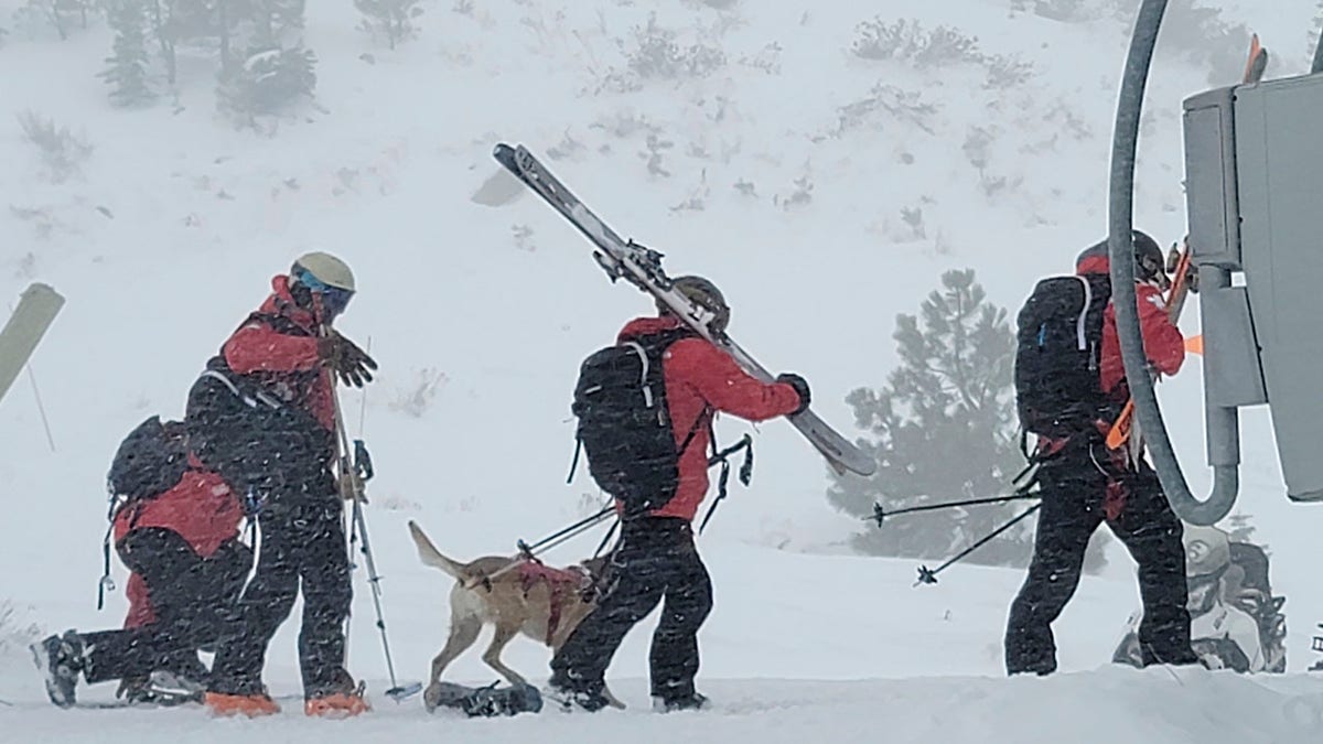 Skiers walking