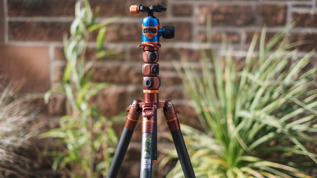 tripod-roundup-best-list-2021-hoyle-4