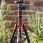 tripod-roundup-best-list-2021-hoyle-4