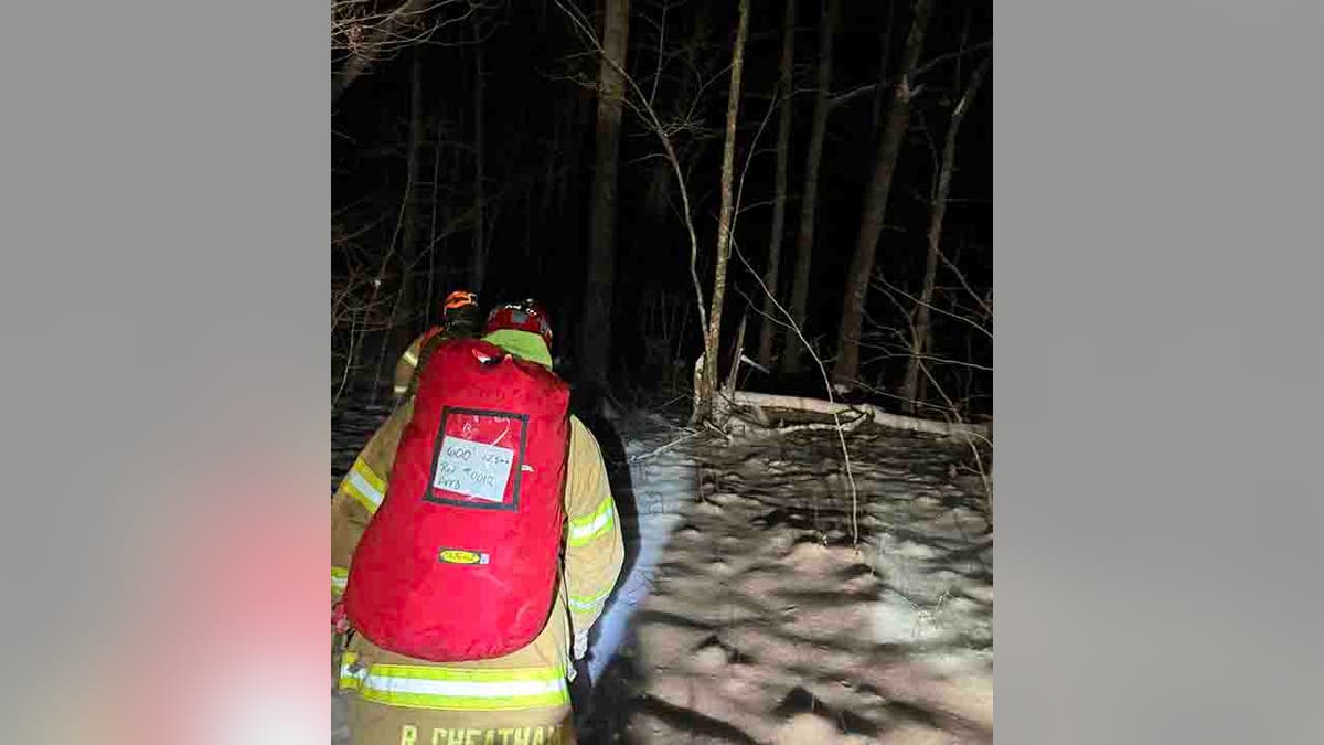 rescuers hiking in woods