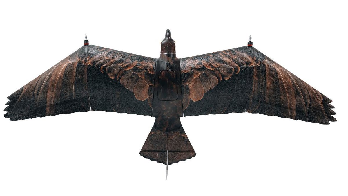 It may look like an eagle, but it's actually a stealthy bird-drone for covert missions