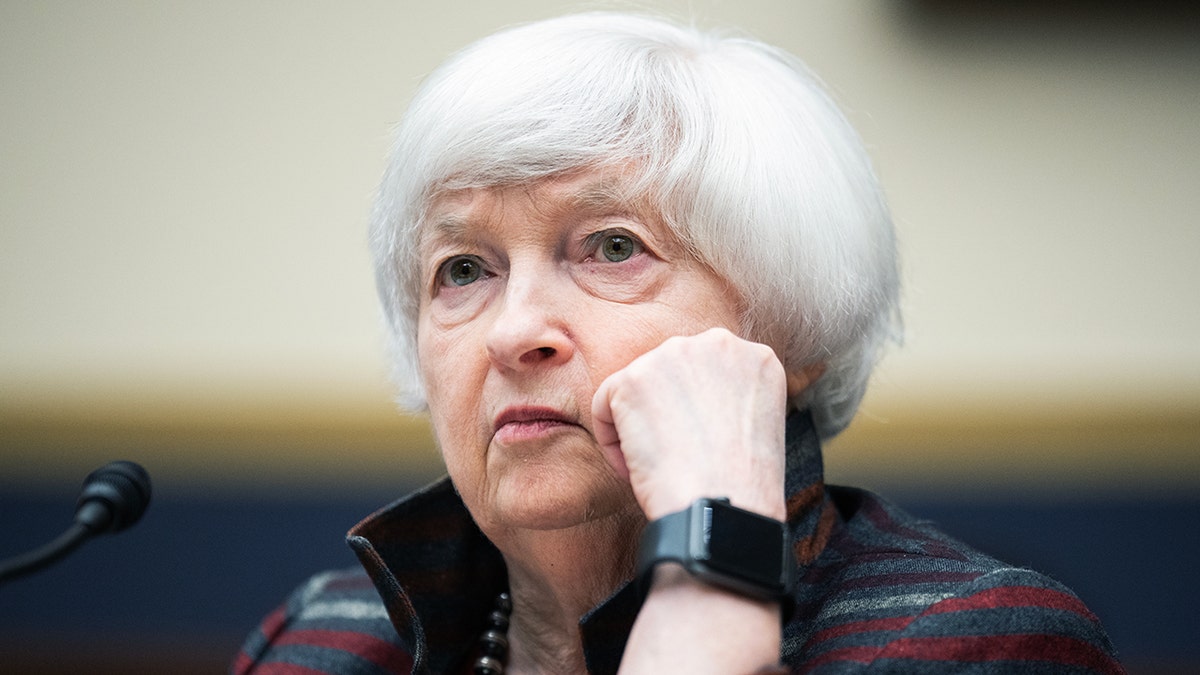 Treasury Secretary Janet Yellen