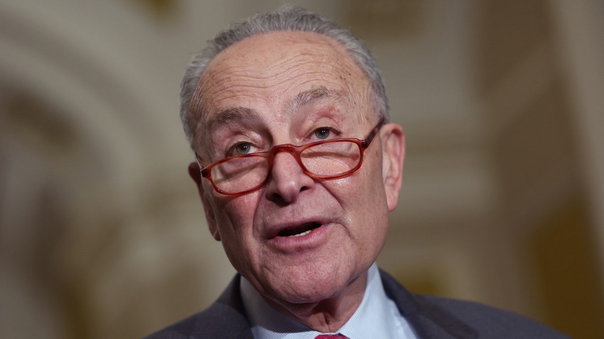 Senate Majority Leader Charles Schumer speaks