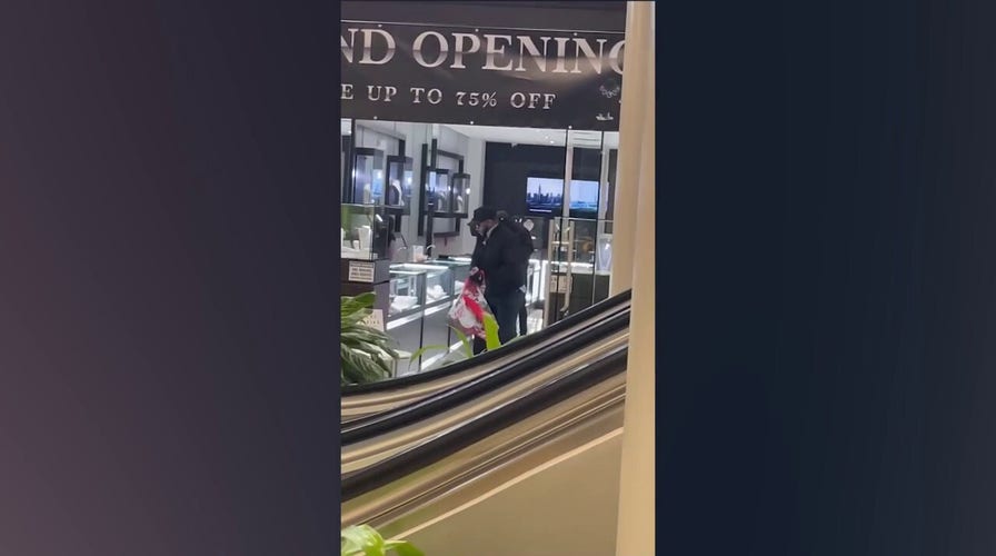 Illinois mall jewelry store targeted in brazen theft caught on camera