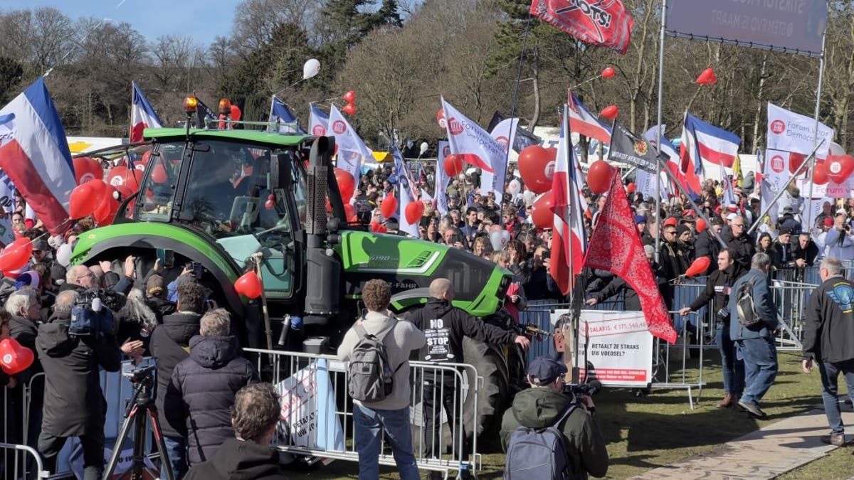 Dutch farmers protest against government policies